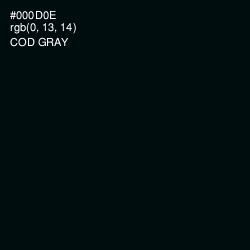 #000D0E - Cod Gray Color Image